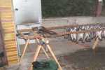 2014 - Forellenangeln 03-10 - 1413544696_m.jpg