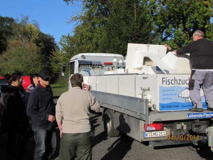 Zanderbesatz 2014 - 1419993438.jpg