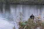 2014 - Welsbesatz 2014 - 1419961789_m.jpg