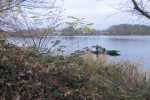 2014 - Welsbesatz 2014 - 1420038100_m.jpg